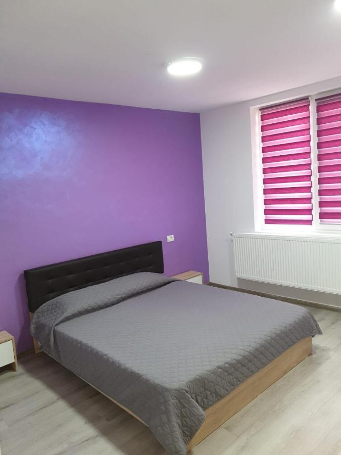 Apartament Negris Birlad Экстерьер фото
